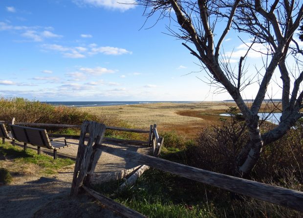 Cape-Cod-National-Seashore-Massachusetts-620x447 The 10 Most Exiting Beaches around the World