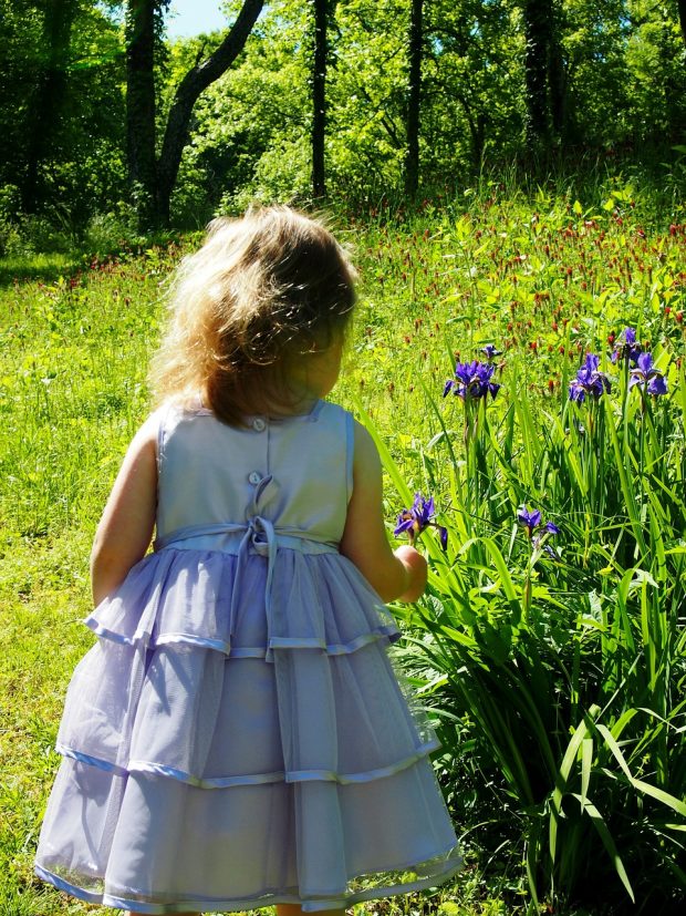 Fun Activities With Kids: Flower Picking