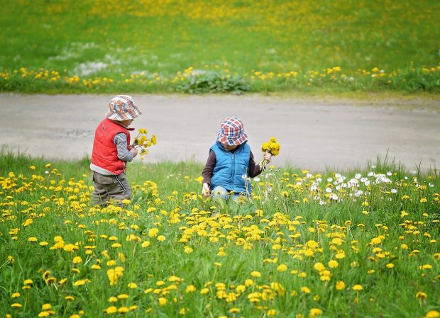 Fun Activities With Kids: Flower Picking