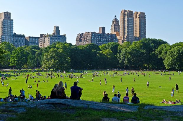Central-Park-NYC-USA-620x410 Visiting the Big Apple? These are the top four things you must do