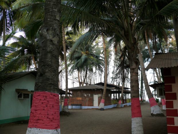 Silver-Sand-Resort-Dapoli-India-620x465 Beach Retreats near Mumbai