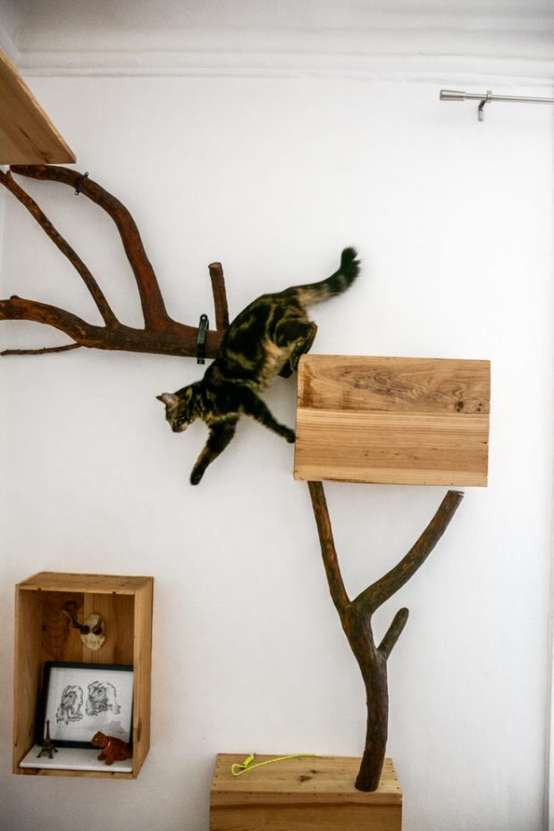 4 Winter Projects to Start Right Now 4 Winter Projects to Start Right Now