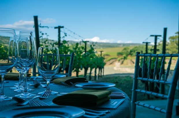 An Unforgettable Winery Tour from The Limousine for The Lovers of Wine