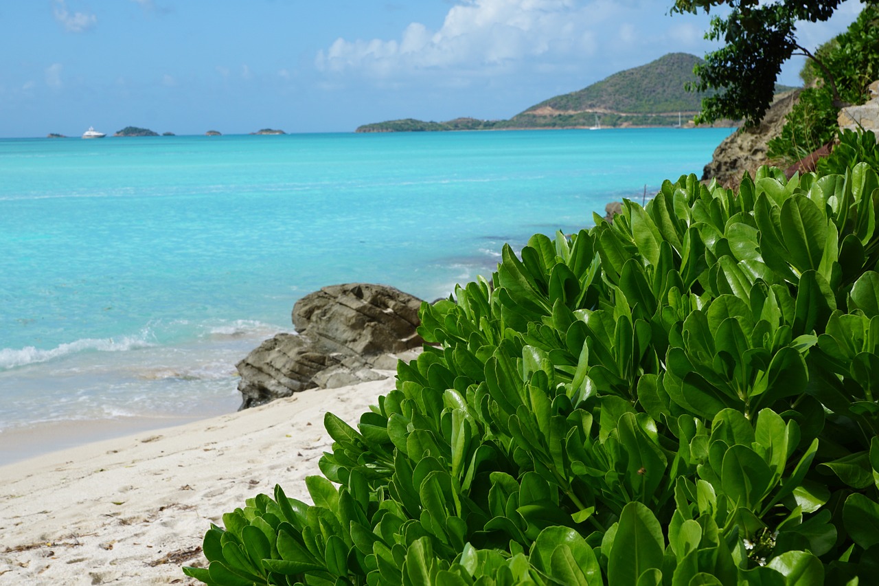 Tips for Studying for Your Social Work Degree While Vacationing in Antigua