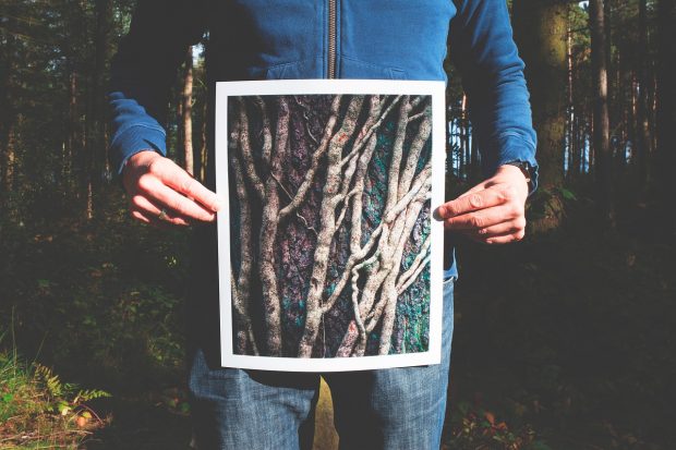 Photography Tips: How to Choose the Right Printer