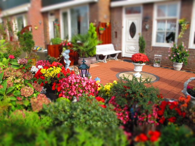 5 Tips For Making The Most Of Your Small Garden Space