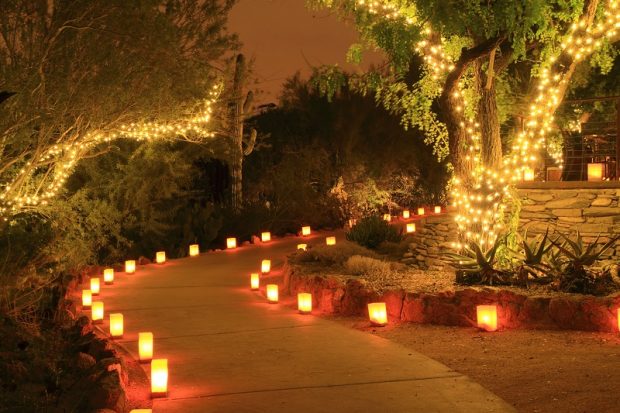 Tips on Using Proper Lighting to Transform Your Outdoor Space