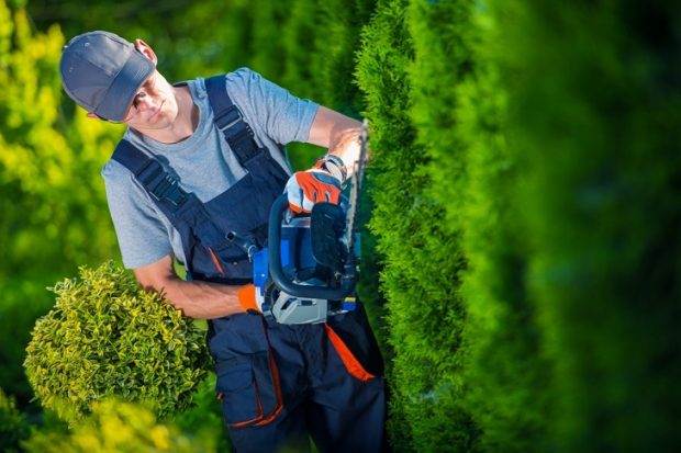 How To Pick The Best Landscaping Supplies For Your Home