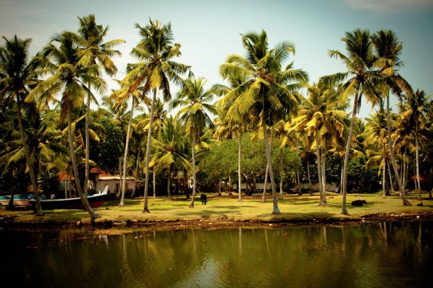 Why Any Visit to Kerala is Incomplete Without Relishing the Backwaters