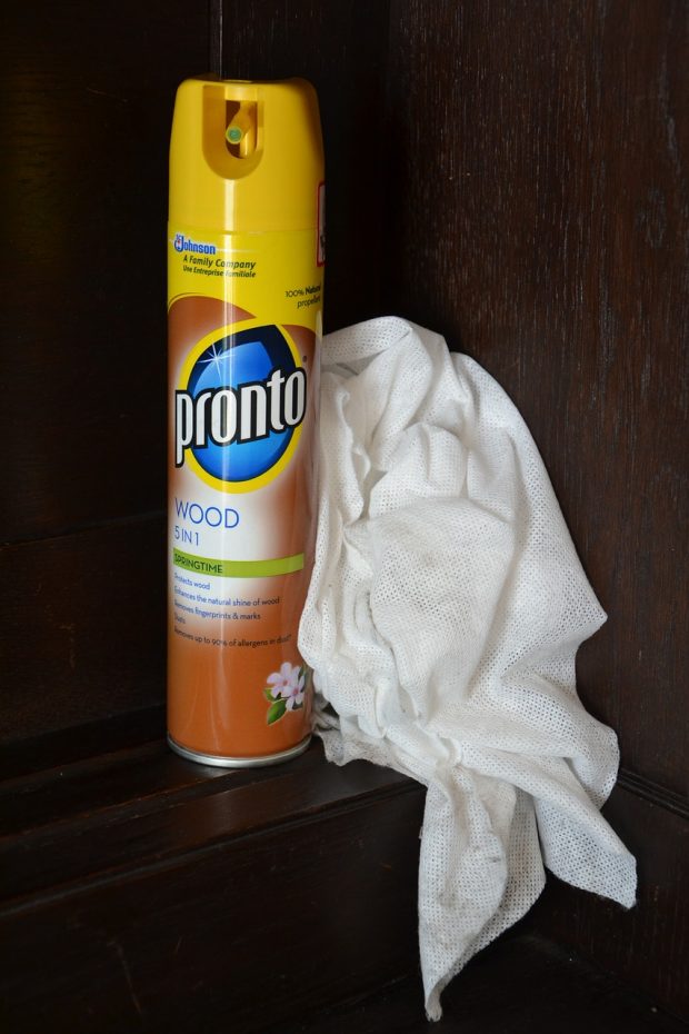 The Clean Freaks Arsenal: How to Fight Back Against Dust