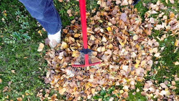 Is Your Yard Dying? Restore It with These 4 DIY Tips