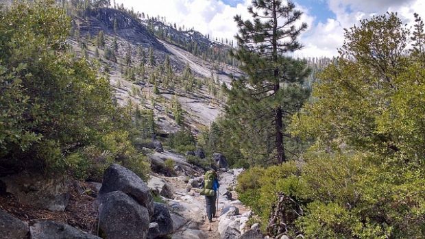 How to Have a Fun-Filled Nature Adventure in California