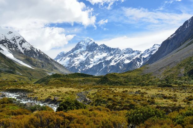 Three Reasons You Should Blog about Your Journey to New Zealand