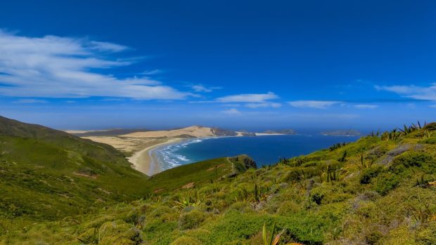 The Top 5 Places to Visit in New Zealand