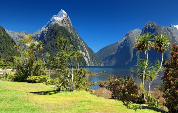 The Top 5 Places to Visit in New Zealand