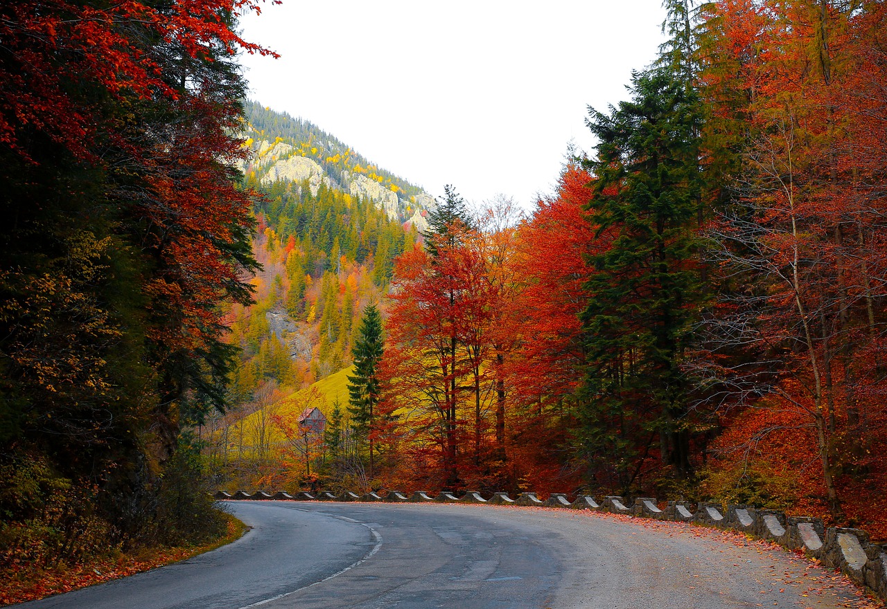 Here Are The 4 Best Cars For A Fall Getaway