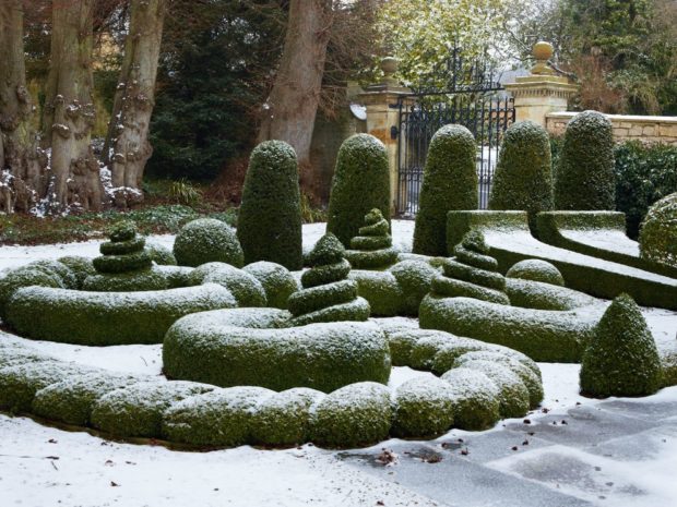 5 Landscape Design Ideas for Winter 5 Landscape Design Ideas for Winter