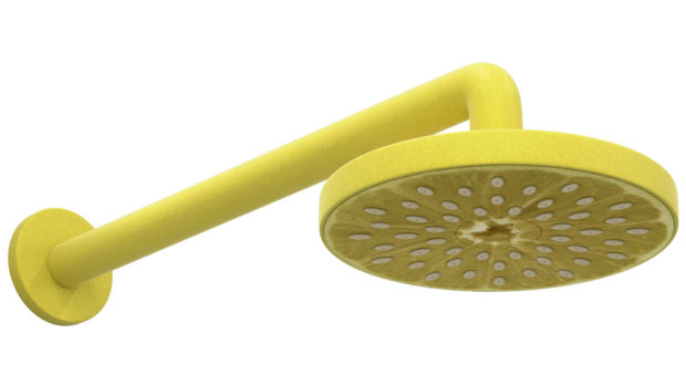 You Can't Miss These Designer Shower Heads