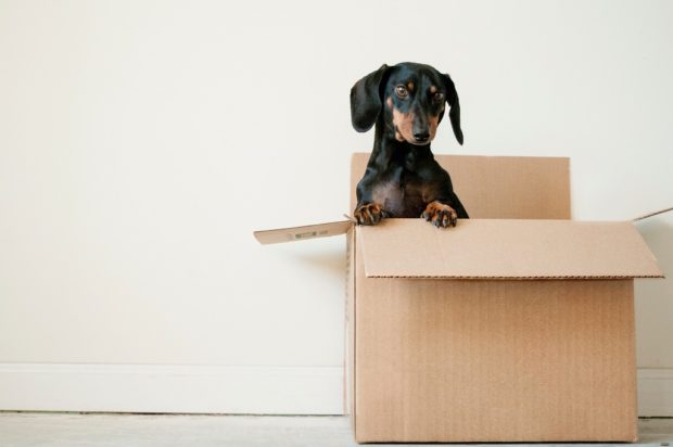 Moving Checklist: Your Smart Guide Before Moving to Ohio