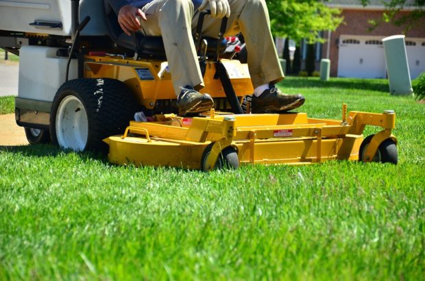Need New Grass for Your Lawn? Here are Five Options for You