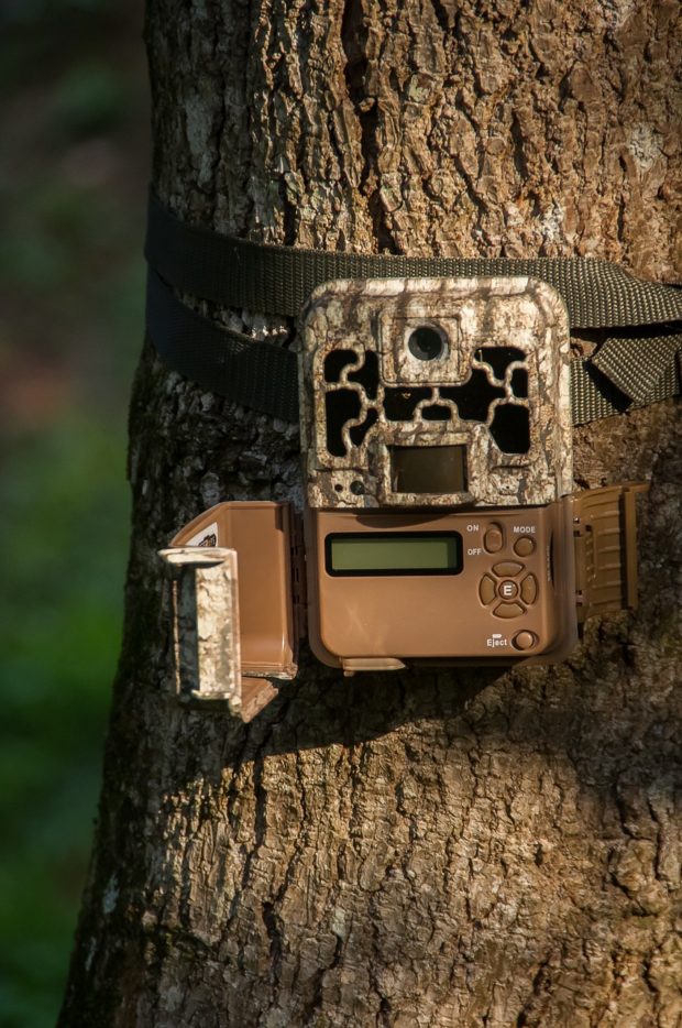 The Importance of Trail Cameras When Hiking or Exploring the Woods