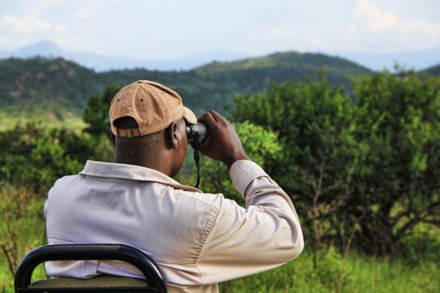 How to Prepare Best Wildlife Safari in Uganda