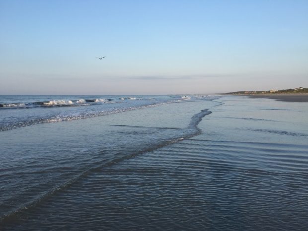South Carolina – Why it is the Top Beach Destination in the US?