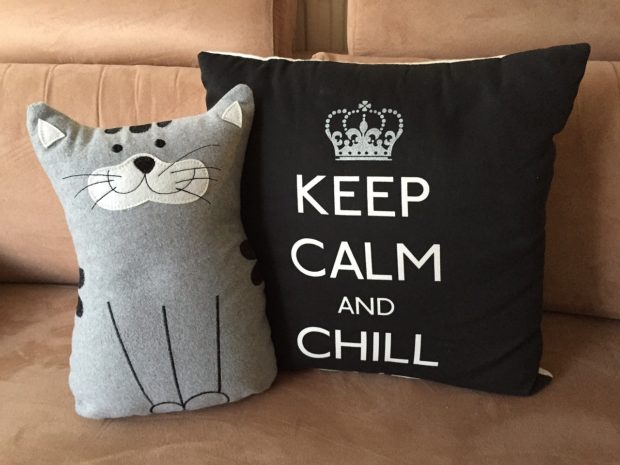 Things Design-Obsessed Cat Lovers Need in Their Home