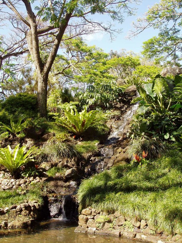 Botanic Beauties of the Garden Island