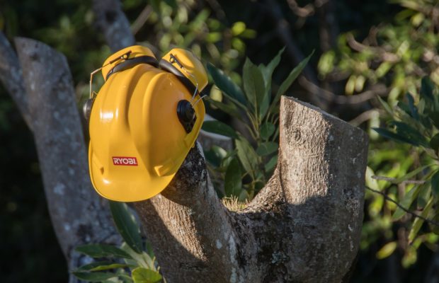 6 Must Have Pruning Tools