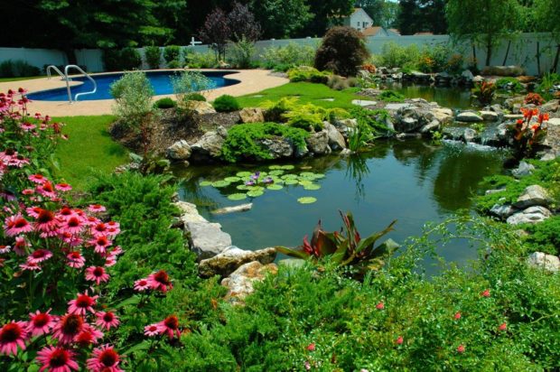 The Importance of Cleaning and Maintaining the Pond with the Help of Pond Maintenance Contractors The Importance of Cleaning and Maintaining the Pond with the Help of Pond Maintenance Contractors