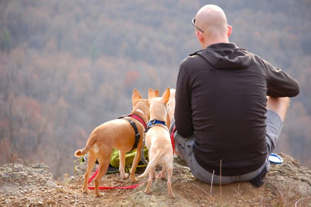 Traveling with your Pet: Best Destinations and Must-have Essentials