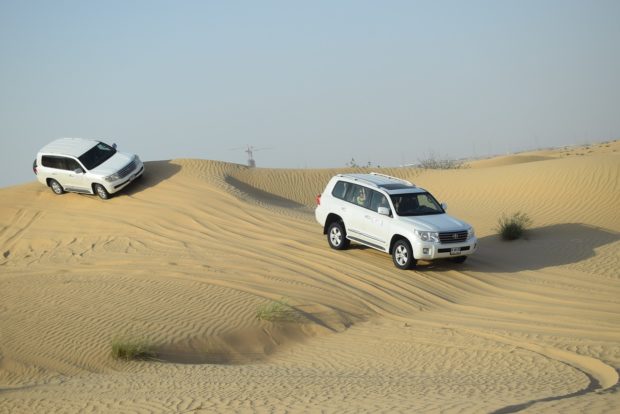 Things To Do In Desert Safari Dubai