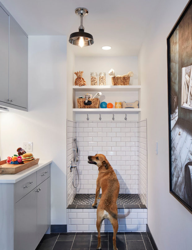 6 Brilliant Ideas for Pet-Friendly Bathroom Remodeling 6 Brilliant Ideas for Pet-Friendly Bathroom Remodeling