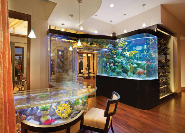 7 Amazing Locations in a House to Install an Aquarium 7 Amazing Locations in a House to Install an Aquarium
