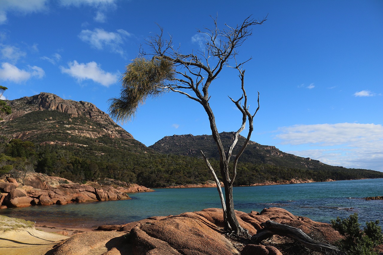 6 Amazing Road Trips in Tasmania