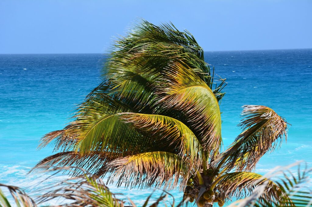 Royal Holiday Vacation Club Provides Members With Exclusive Vacations Royal holiday vacation club provides members with exclusive vacations