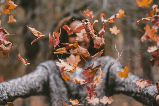 Want to Clean Tons of Leaves in an Instant? Here's How
