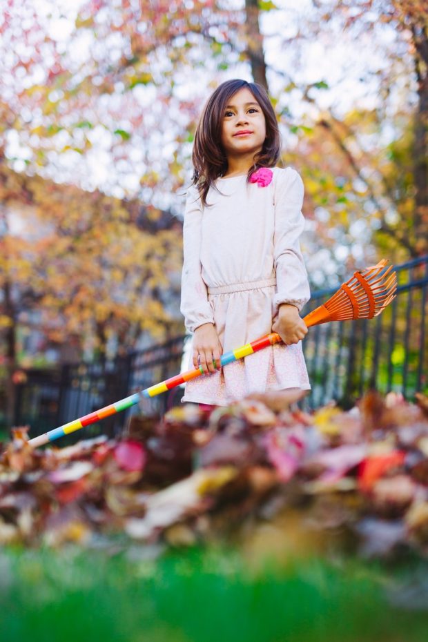 Want to Clean Tons of Leaves in an Instant? Here's How