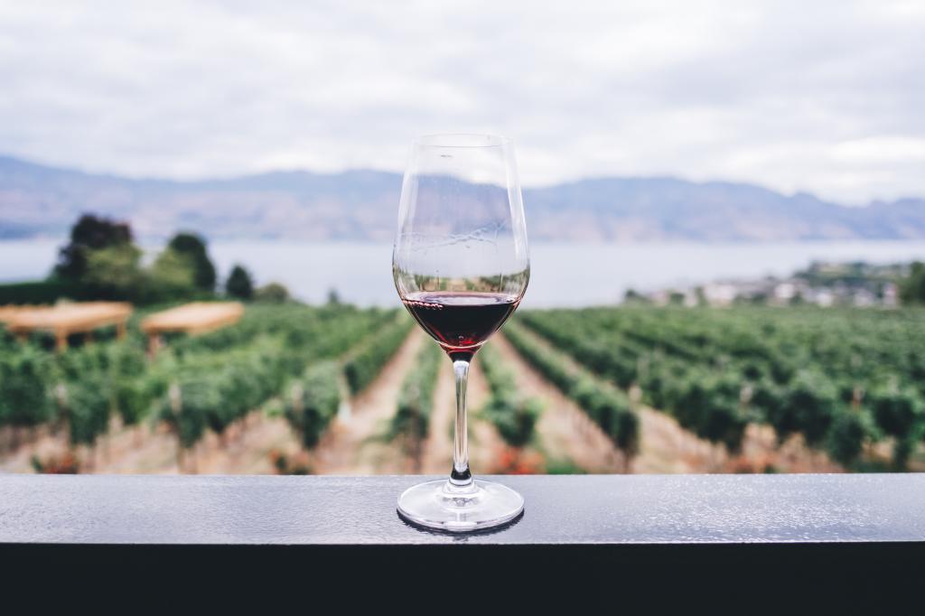 Top Wine Regions in Australia for Everybody’s Taste