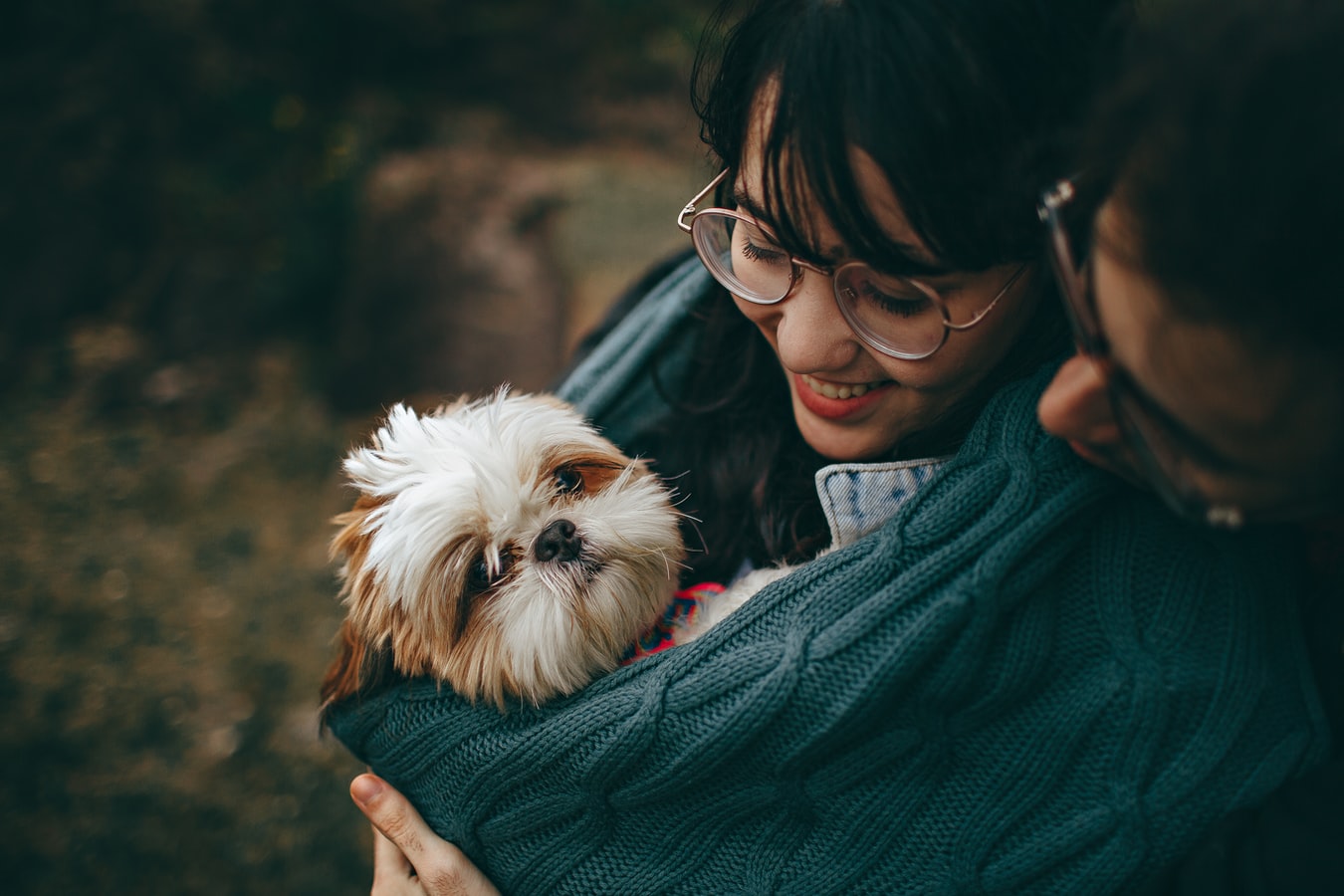 Caring for Your Dog: 5 Ways to Show Them Love
