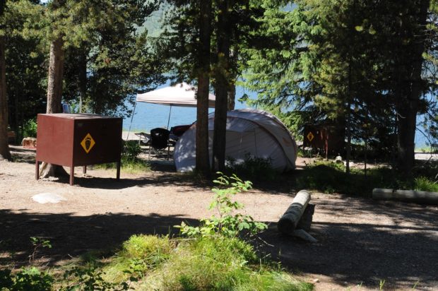 Going Camping? Here's What You'll Need to Know