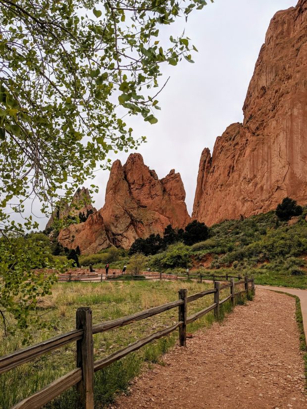 4 Incredible Nature Trips to Check Out in Colorado