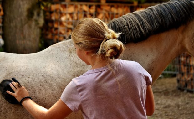 5 Essentials Every Beginner Equestrian Needs
