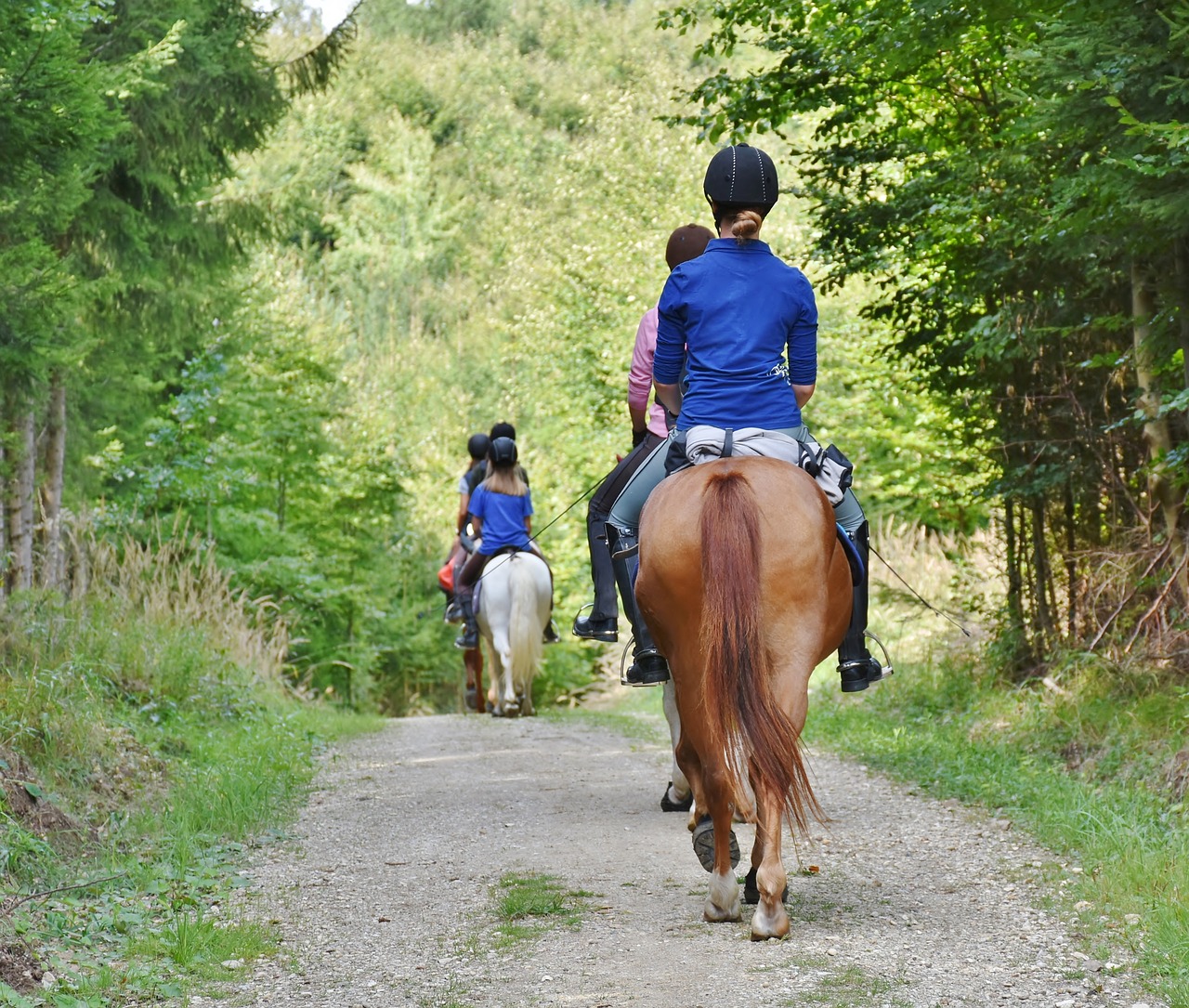 5 Essentials Every Beginner Equestrian Needs