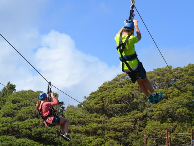 Snorkels to Ziplines: 4 Ways to See All the Natural Beauty Maui Has to Offer