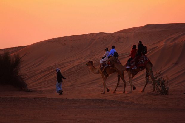 How to Choose the Best Desert Safari in Dubai
