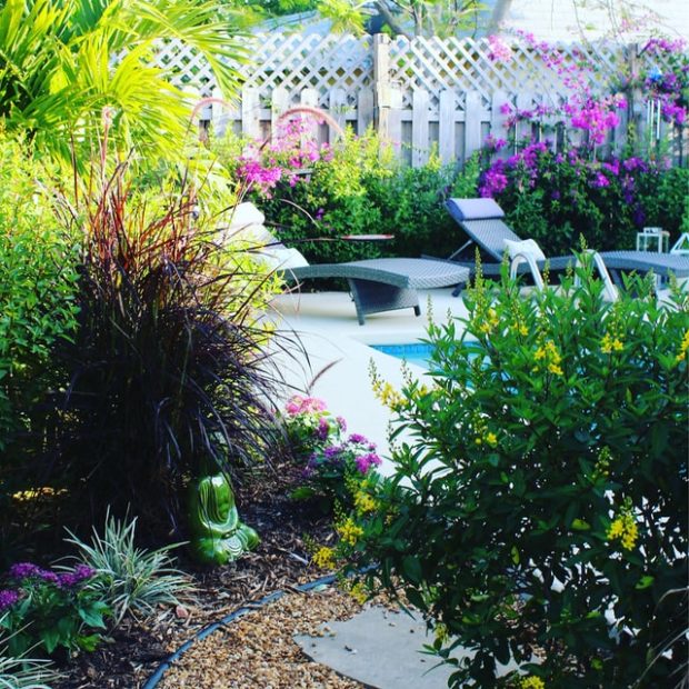 How to Keep Your Yard Neat and Clean