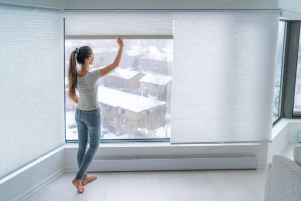 What to Do With Your Windows During a Remodel