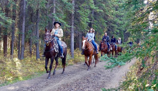 4 Reasons Why Horseback Riding Should Be Your Next Outdoor Hobby